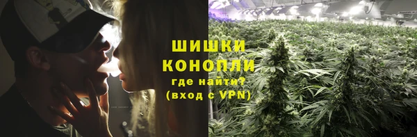 дмт Белокуриха