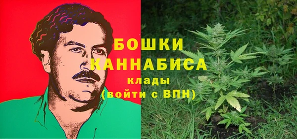 дмт Белокуриха