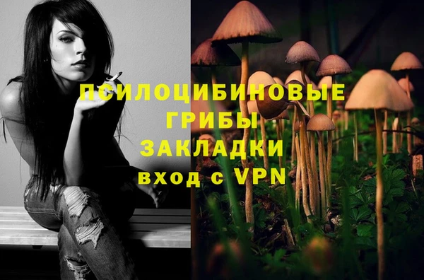 дмт Белокуриха