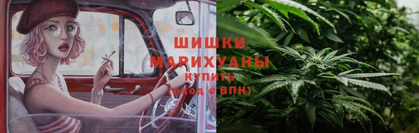 дмт Белокуриха