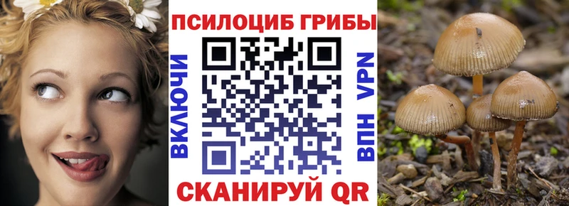 наркота  Дно  Галлюциногенные грибы Magic Shrooms 